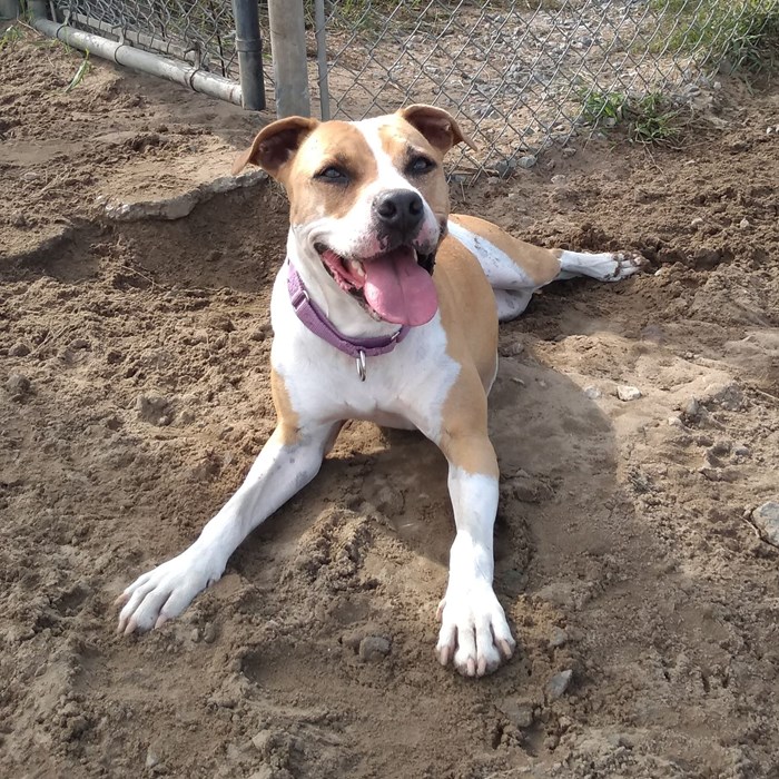 Roxy